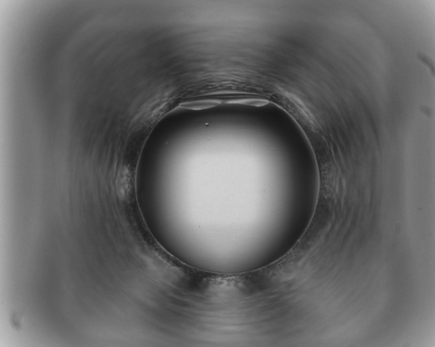 X0000091170077200708161506