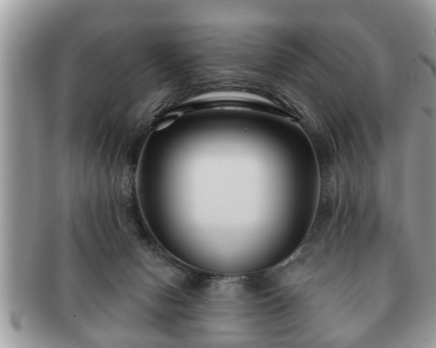 X0000091170078200708161506