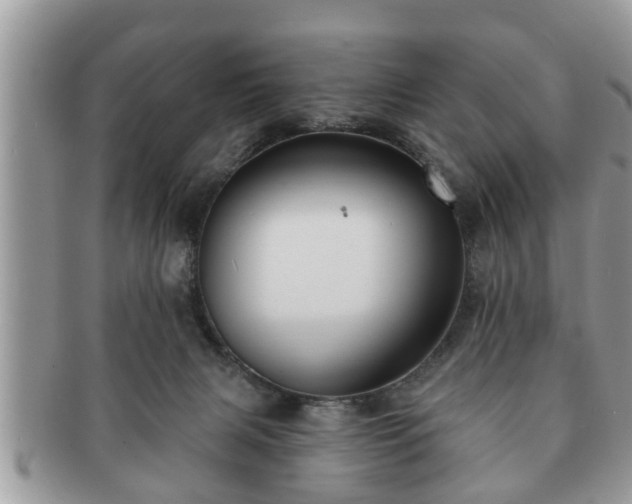 X0000091170079200708161507