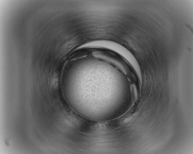 X0000091170080200708161507