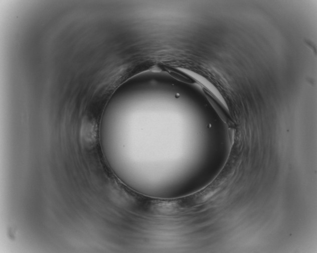 X0000091170081200708161507