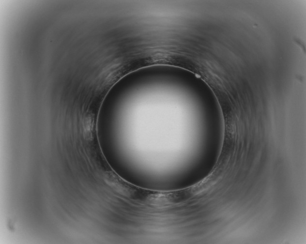 X0000091170082200708161507