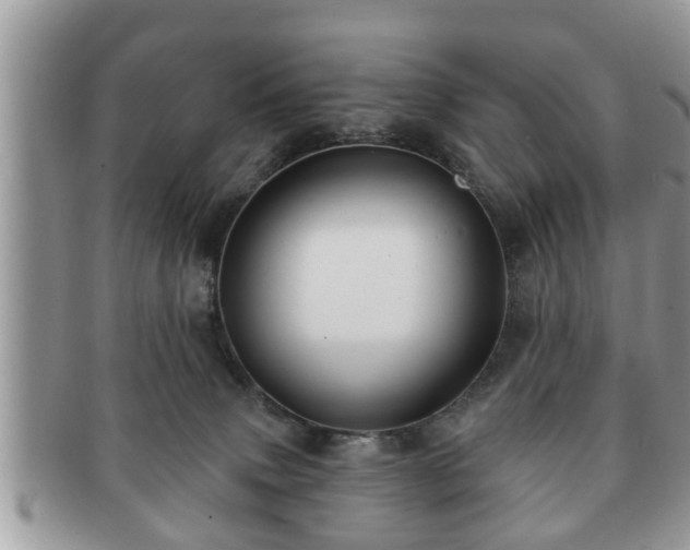 X0000091170083200708161507