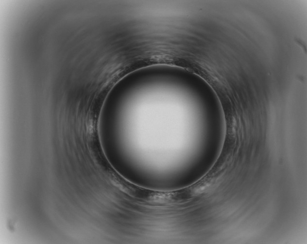 X0000091170084200708161507