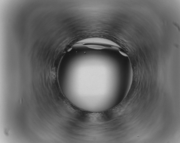 X0000091170085200708161507