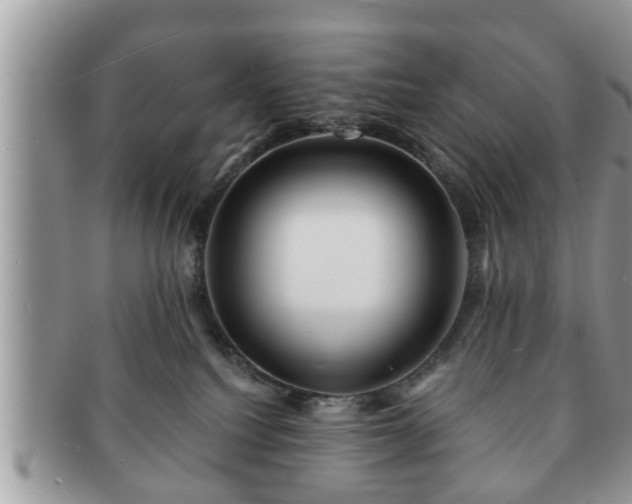 X0000091170088200708161507