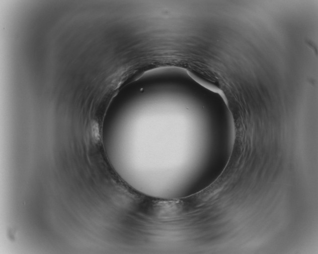 X0000091170089200708161507