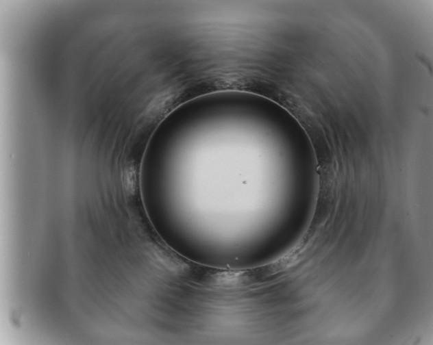 X0000091170090200708161507