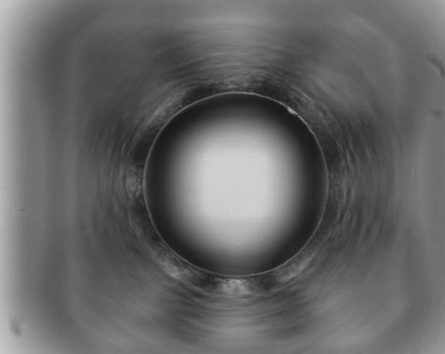 X0000091170091200708161507