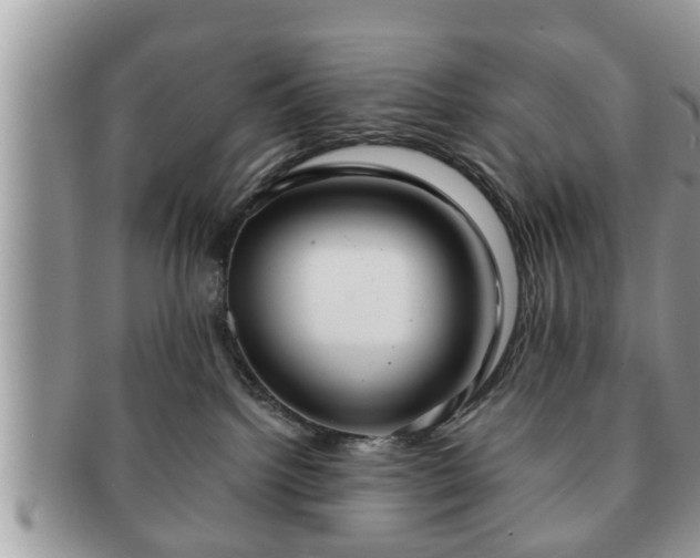 X0000091170092200708161507