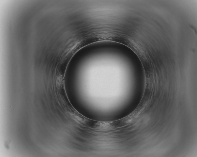 X0000091170093200708161507