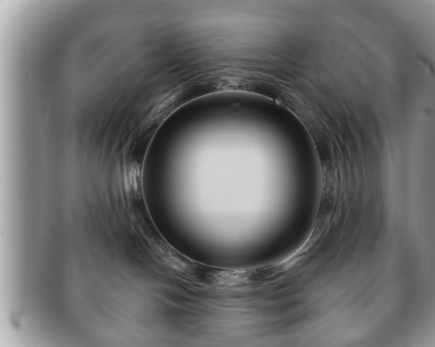 X0000091170094200708161507