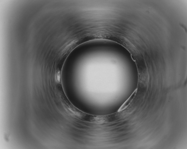 X0000091170095200708161507