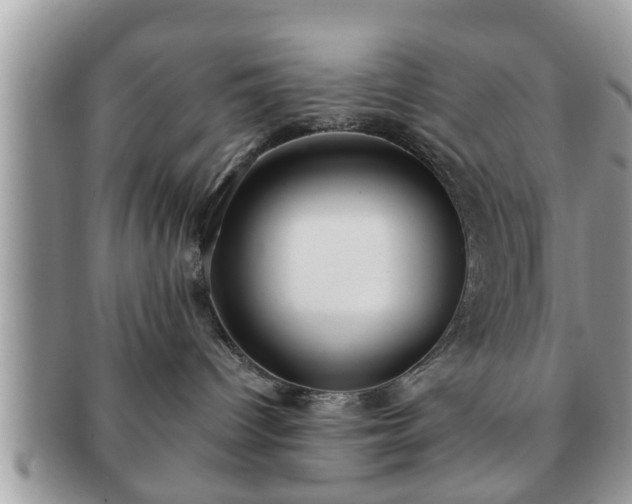 X0000091170096200708161507