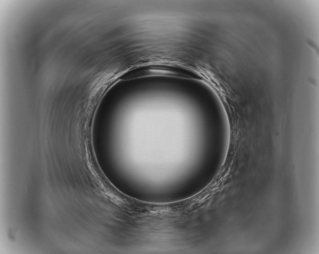 X0000091170097200708161506