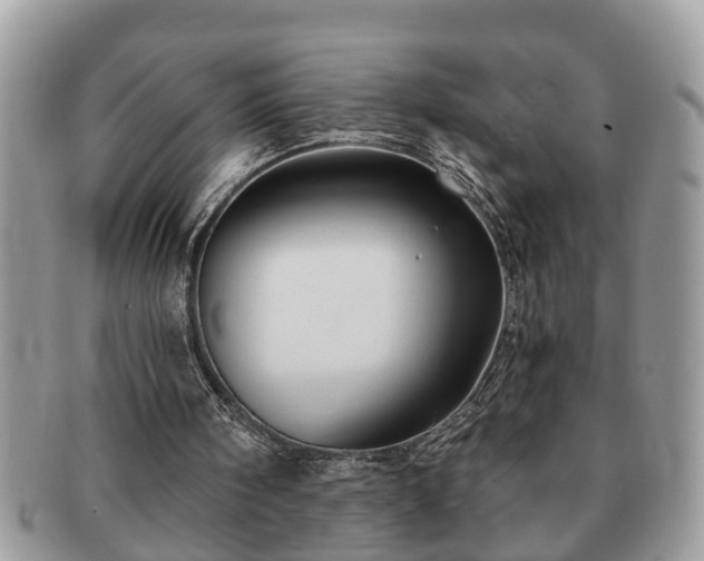 X0000091170098200708161506