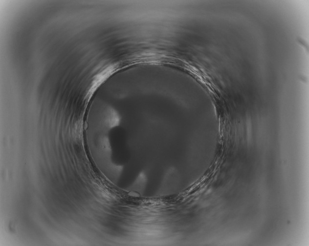 X0000091170099200708161506