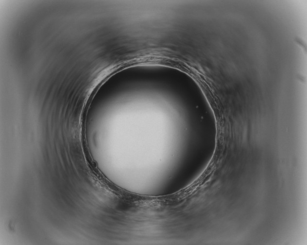 X0000091170100200708161506