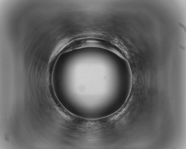 X0000091170101200708161506