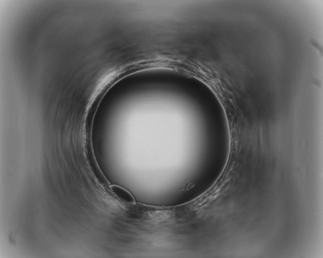 X0000091170102200708161506