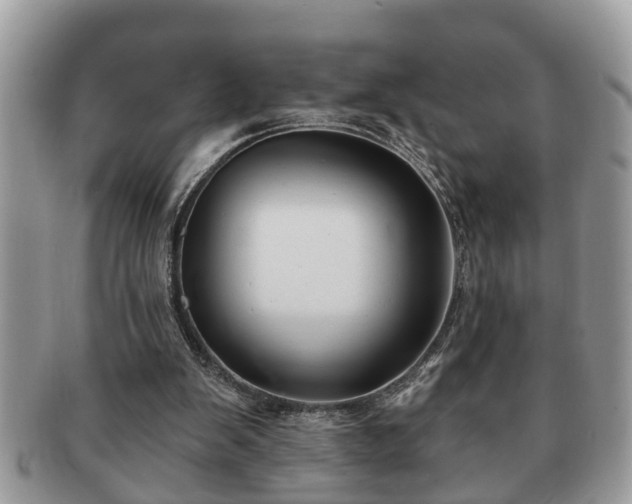 X0000091170103200708161506