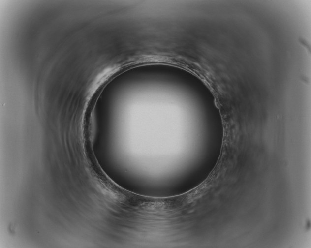 X0000091170104200708161506