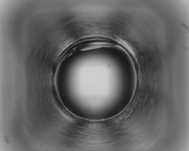 X0000091170105200708161506