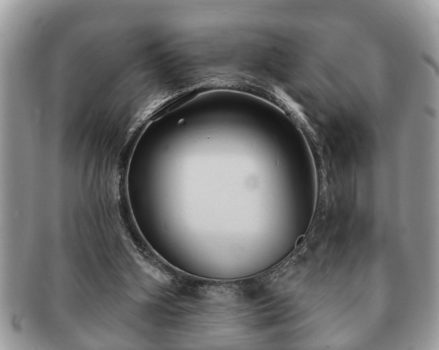 X0000091170106200708161506