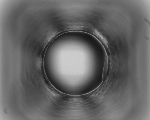 X0000091170107200708161506