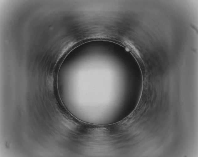 X0000091170108200708161506