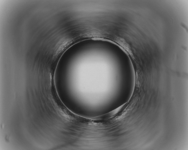 X0000091170109200708161506