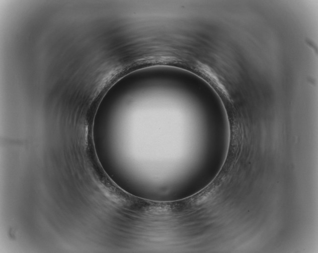 X0000091170110200708161506