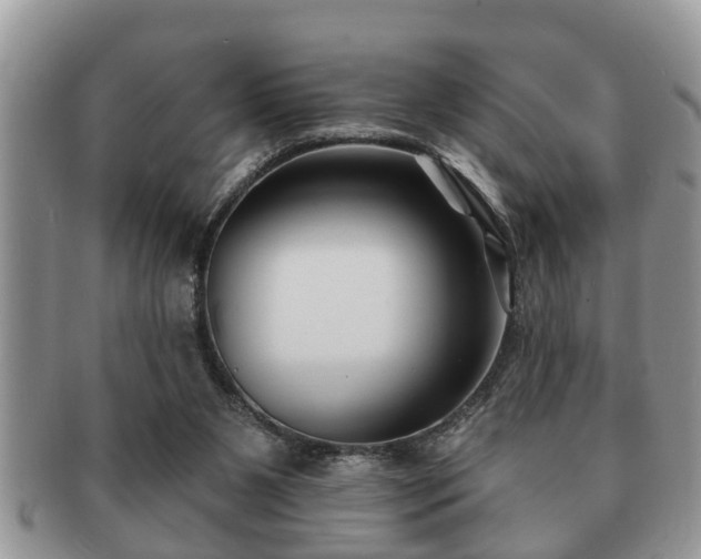 X0000091170111200708161506