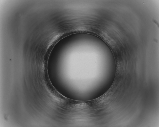 X0000091170112200708161506