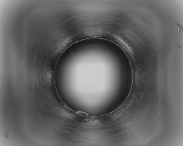 X0000091170113200708161506