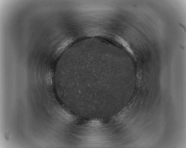 X0000091170114200708161506