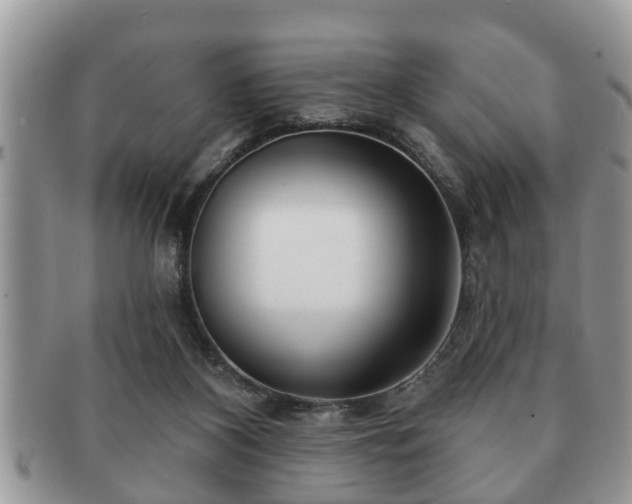 X0000091170116200708161506