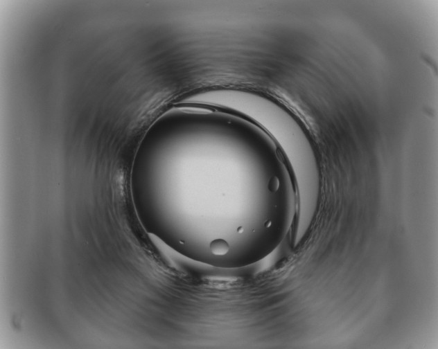 X0000091170117200708161506