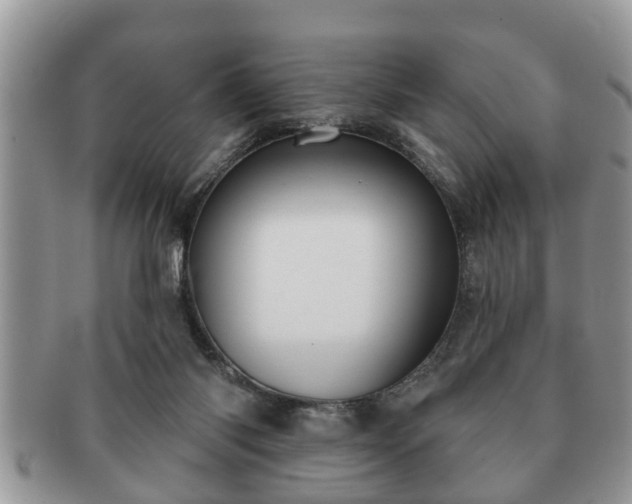 X0000091170118200708161506