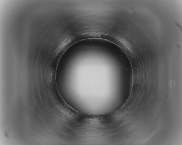 X0000091170120200708161506