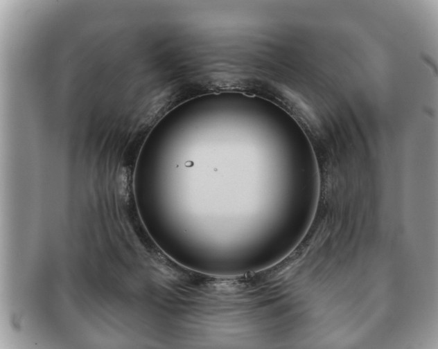 X0000091170121200708161506