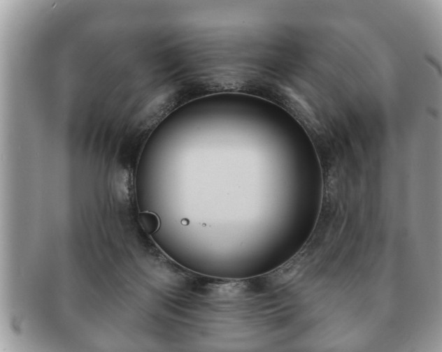 X0000091170122200708161506