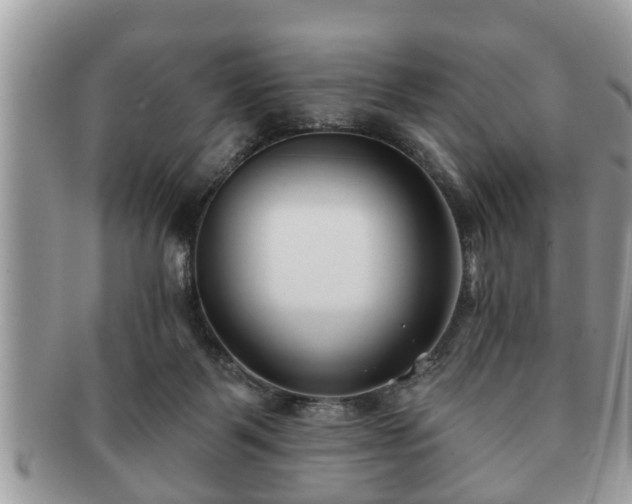 X0000091170123200708161506