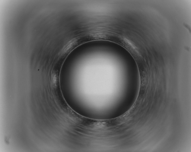 X0000091170124200708161506