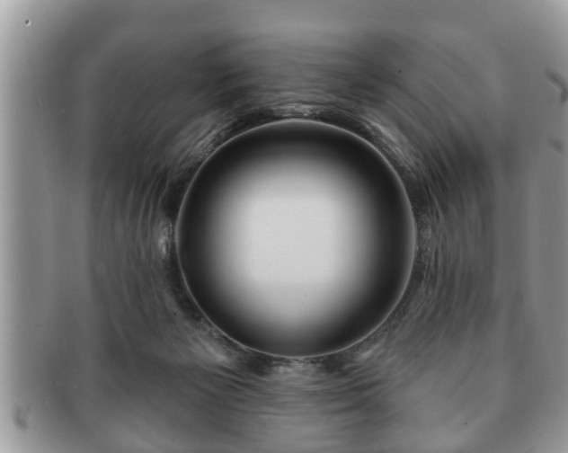 X0000091170125200708161506