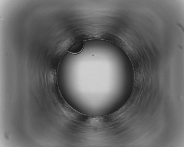 X0000091170126200708161506