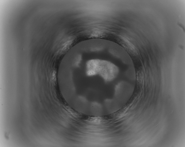 X0000091170127200708161506