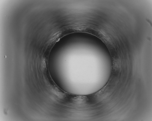 X0000091170128200708161506