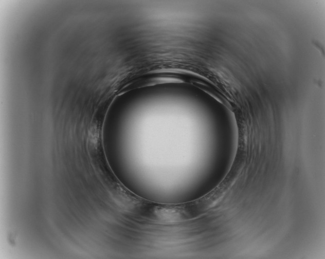 X0000091170129200708161506