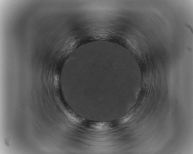 X0000091170130200708161506